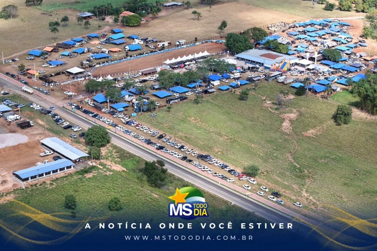 Imagem da Galeria